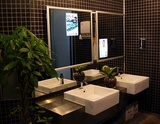 Mirror media1.jpg